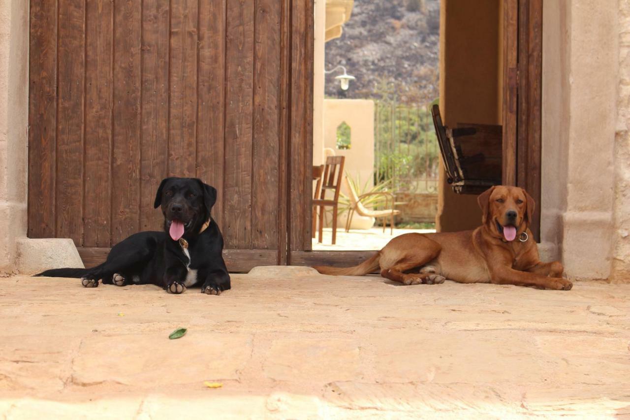 Baglio Giammaccaro Bed & Breakfast Castelluzzo Ngoại thất bức ảnh